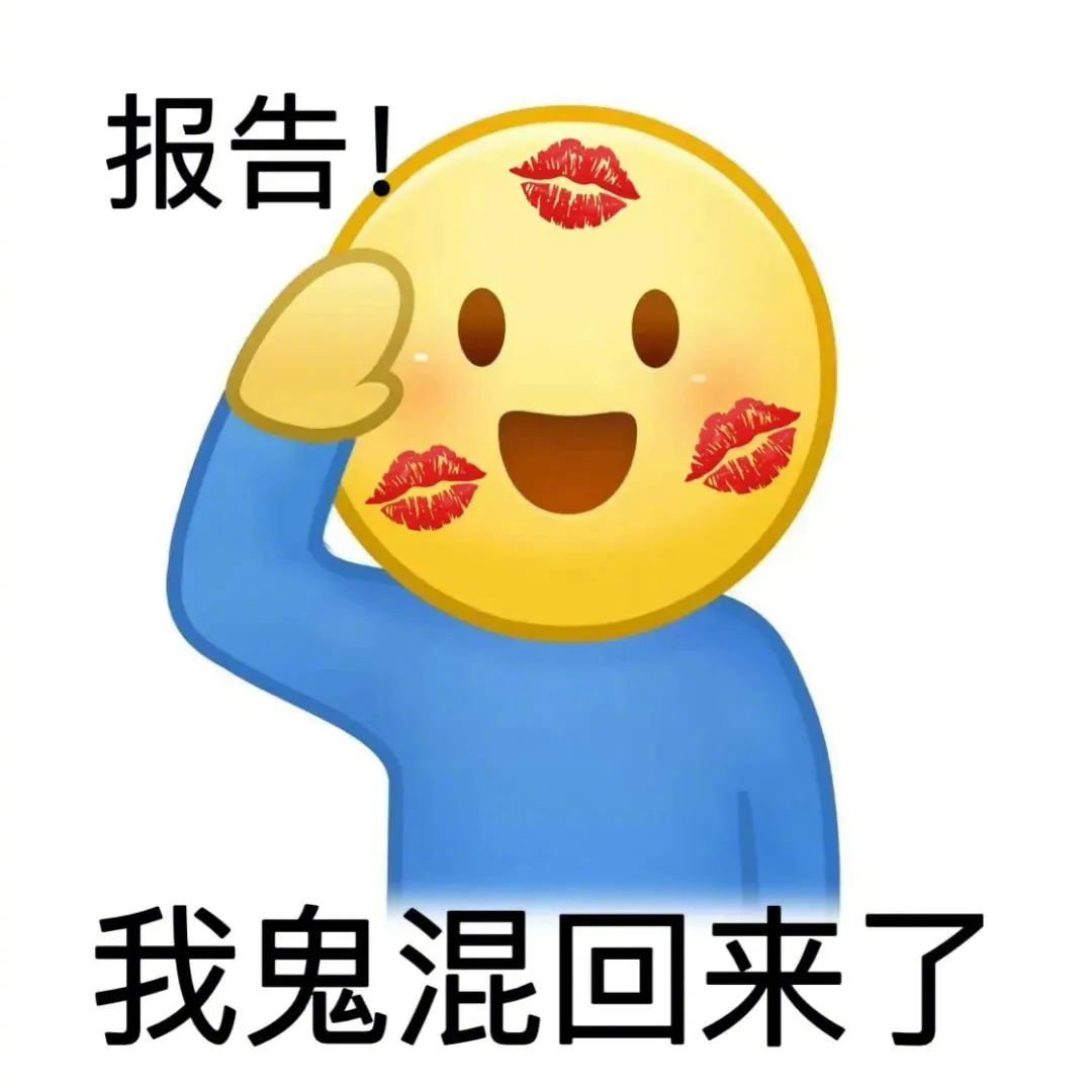 报告！今天也很爱你表情包