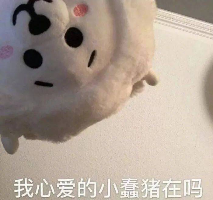 我心爱的小蠢猪在吗表情包