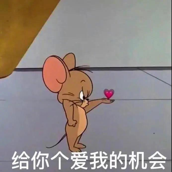 给你个爱我的机会表情包