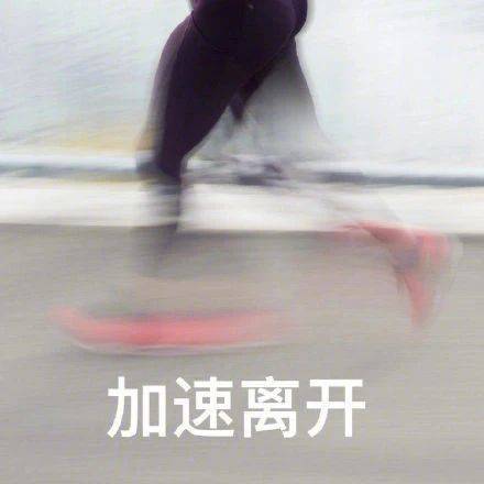 开始自闭