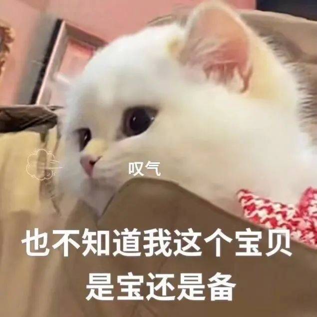 小手一撑 与世无争表情包