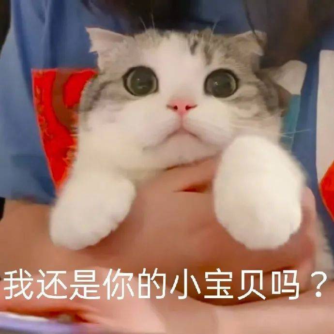 我还是你的小宝贝吗？