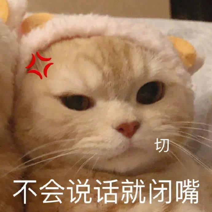 不会说话就闭嘴表情包