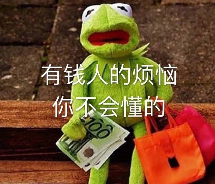 有钱人的烦恼 你不会懂的表情包