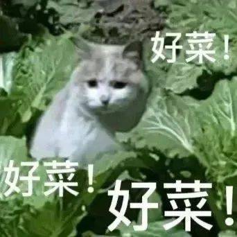 不愿面对