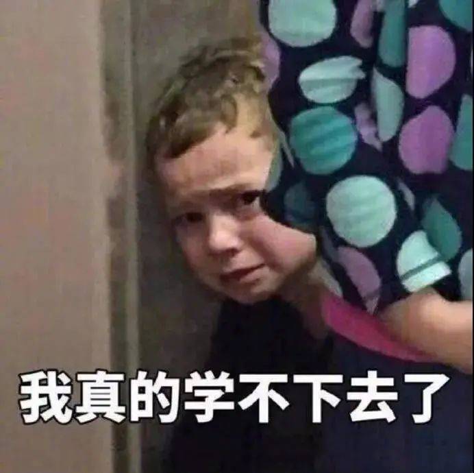 我真的学不下去了