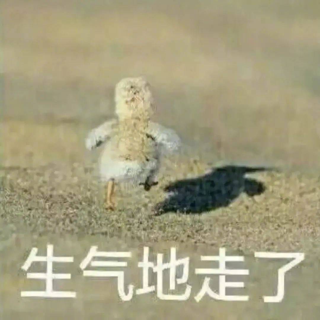 啪！快乐没有了