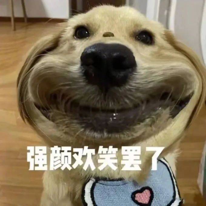 这点痛  算什么