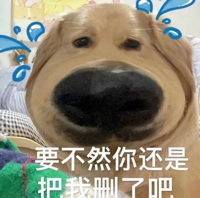 怎么还不下课表情包