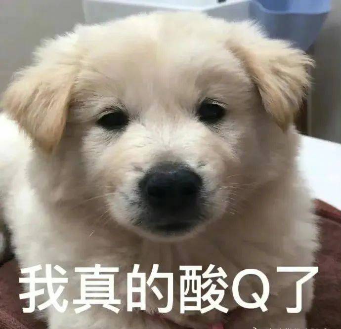 哦  跟俺有关系吗？