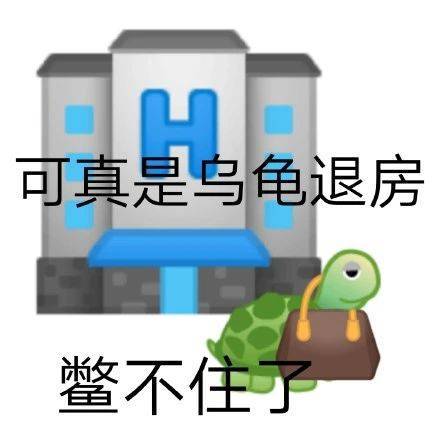 可真是乌龟退房 鳖不住了表情包