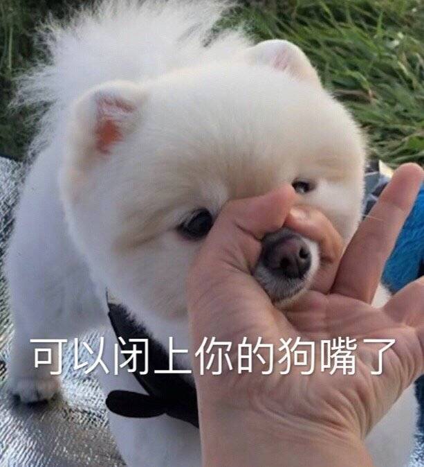 我早晚拱了你这颗白菜表情包