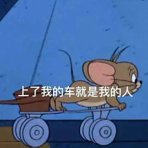 上了我的车就是我的人