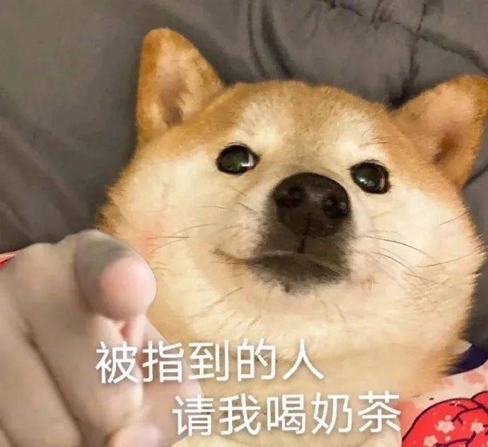 来，哥给你梳头