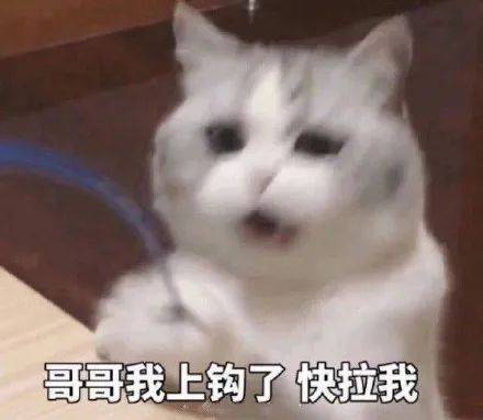 哥哥我上钩了  快拉我