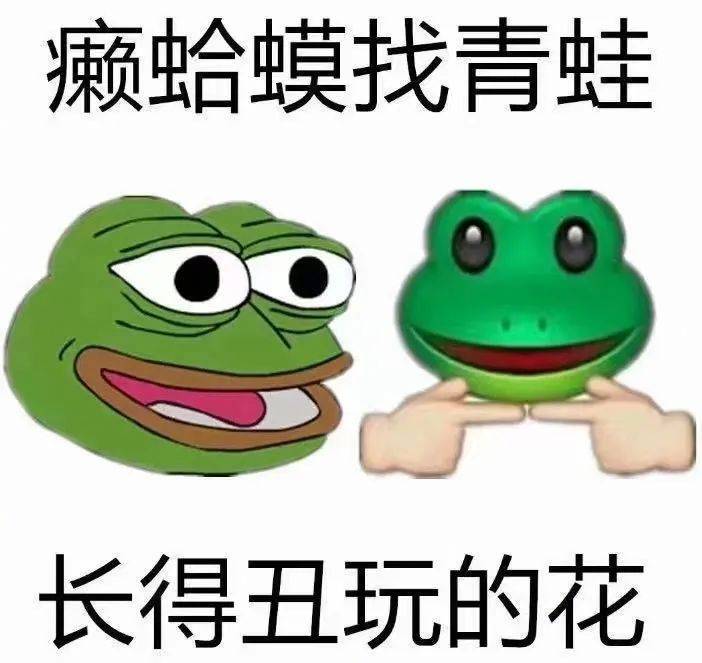 看我的手势行事