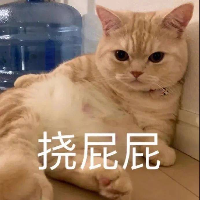这个人没有脑子的吗？表情包
