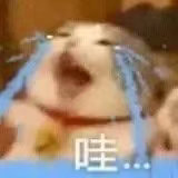 我就是菜，怎样？表情包