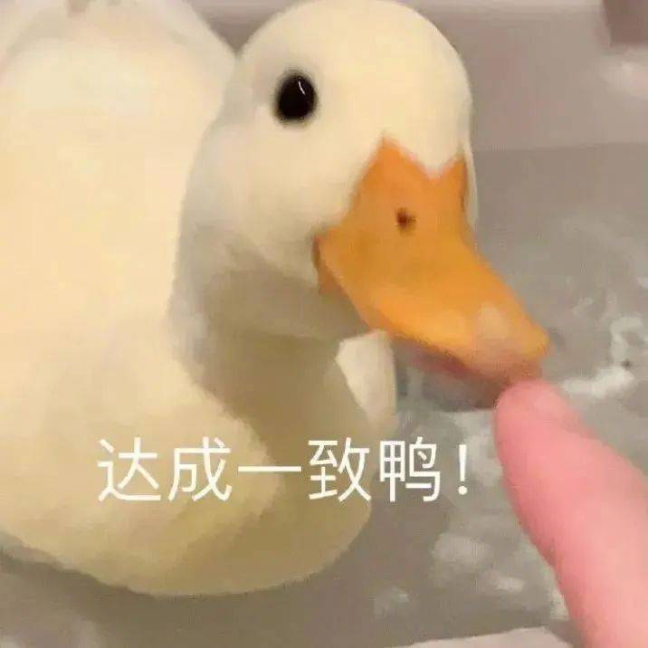 上班真的好快乐表情包