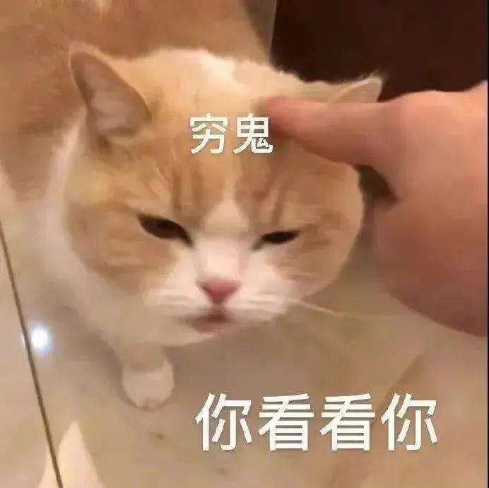 求求你 不要再说了