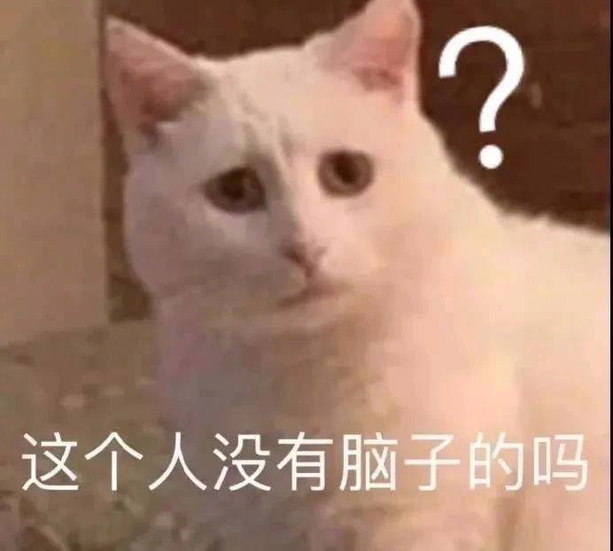 这个人没有脑子的吗？表情包