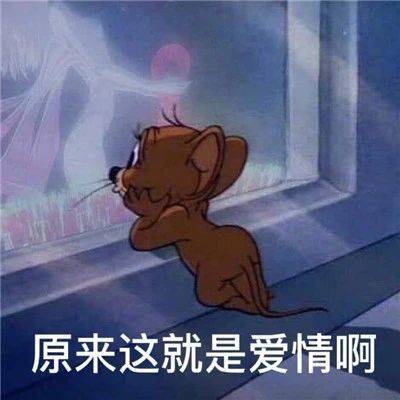 奇怪的知识增加了！表情包