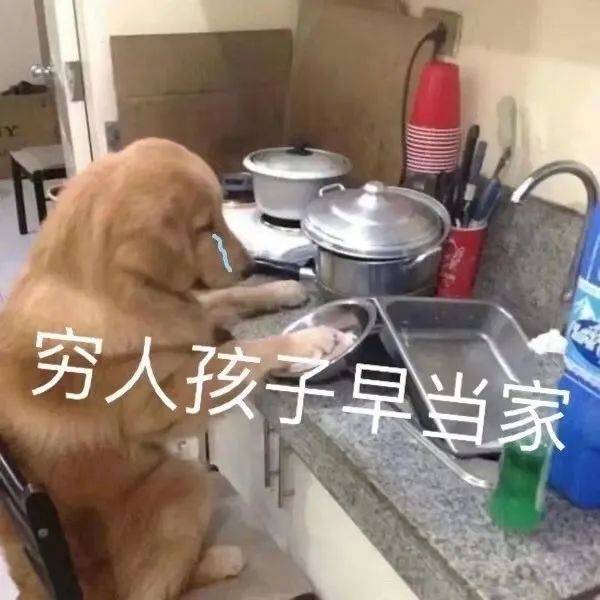 狗粮挺好吃的表情包