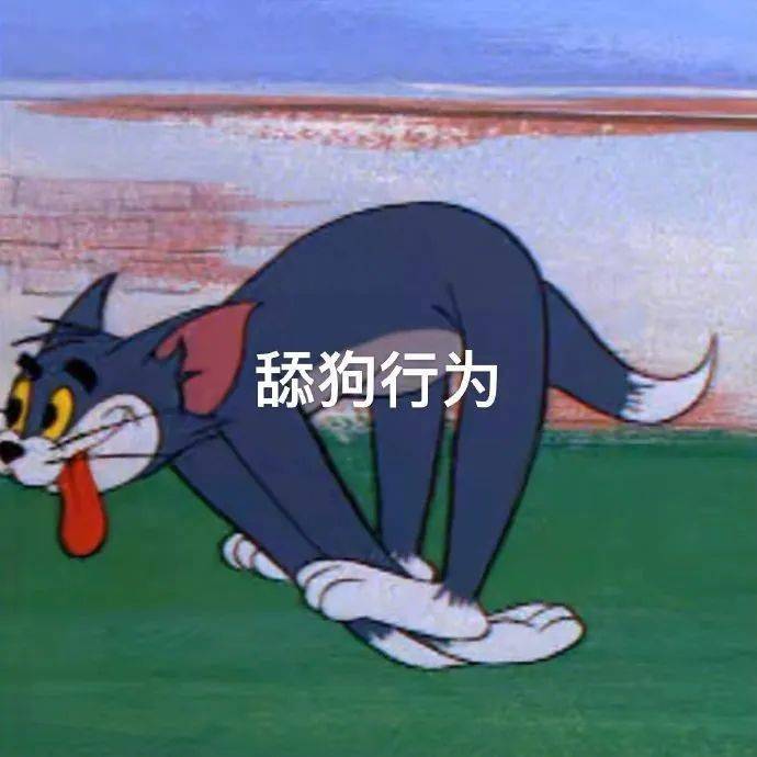 你看哥怎么样