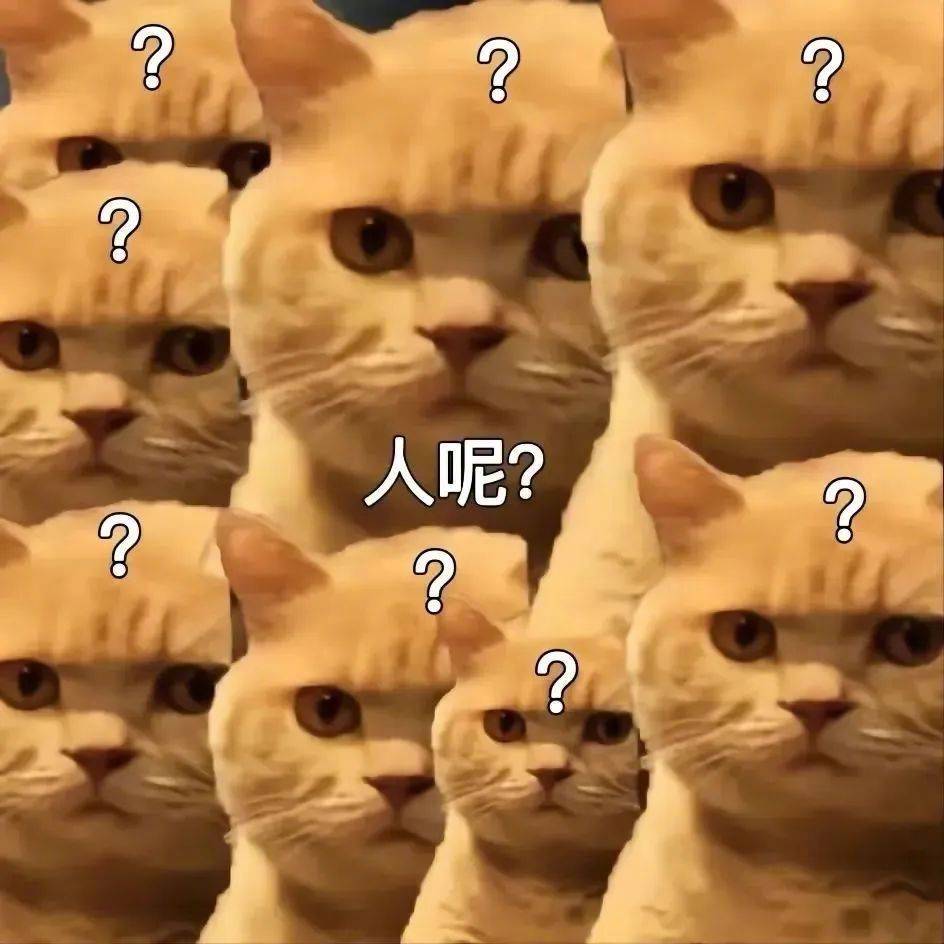 我直接舔屏表情包