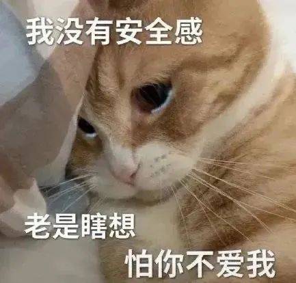 对生活努力的小猫咪