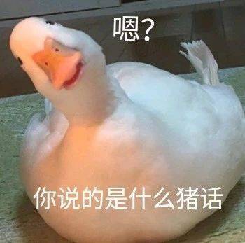 ：很忙  没空理你