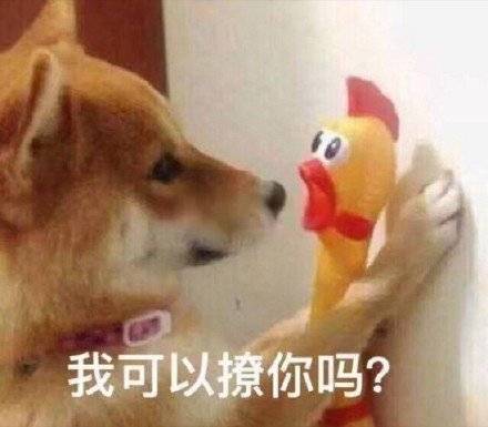 我可以撩你吗？表情包