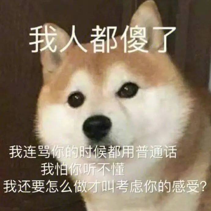 哈哈 我被绿咯表情包