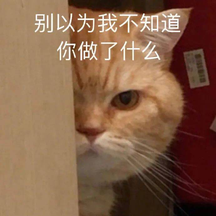 自首吧 我都看见了表情包