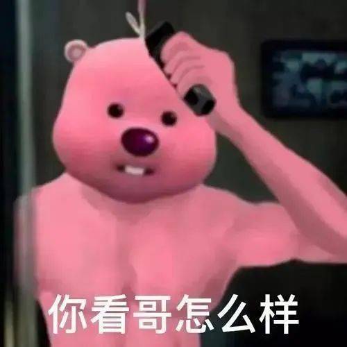 你看哥怎么样