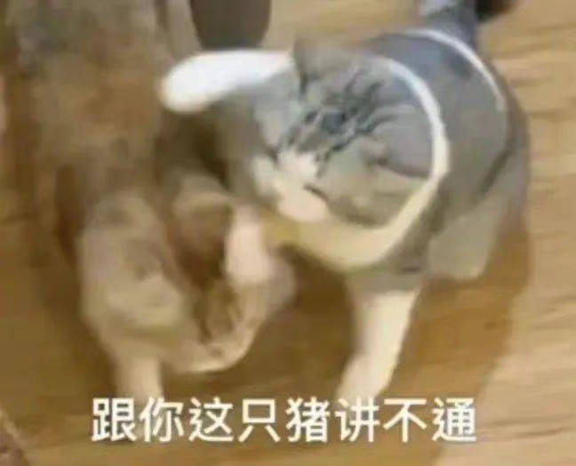 继续说  我在认真听