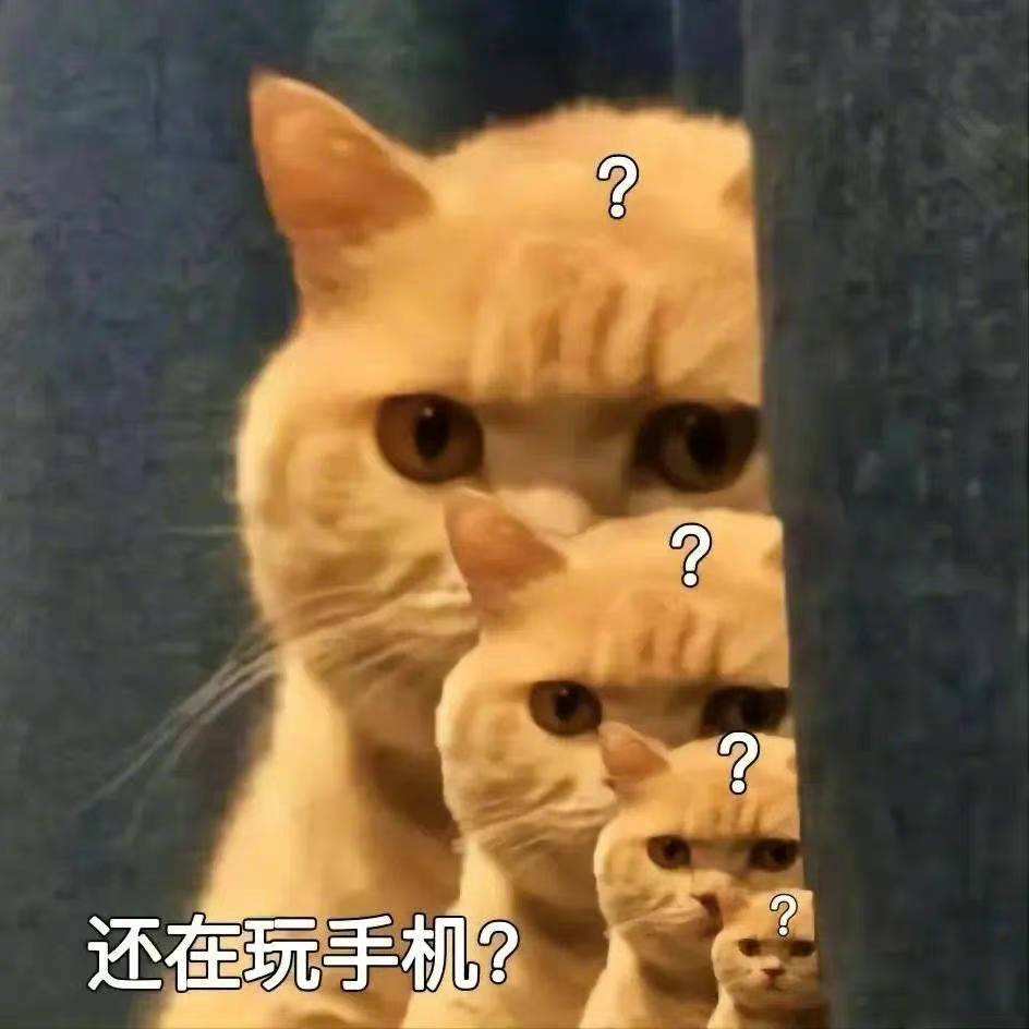 还不回消息？