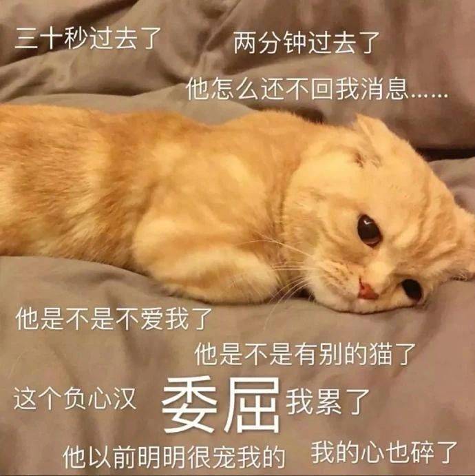 憨憨震惊！！