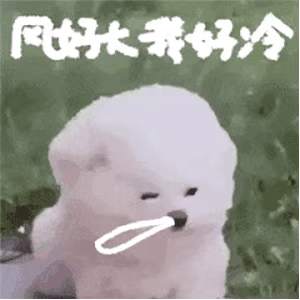 真能演戏表情包