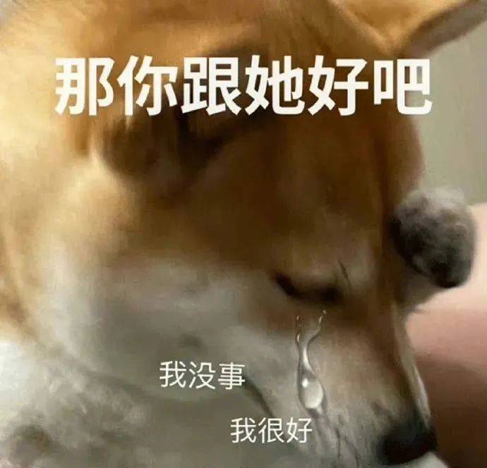 怎么了？我就是小废物表情包