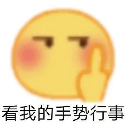 看我的手势行事