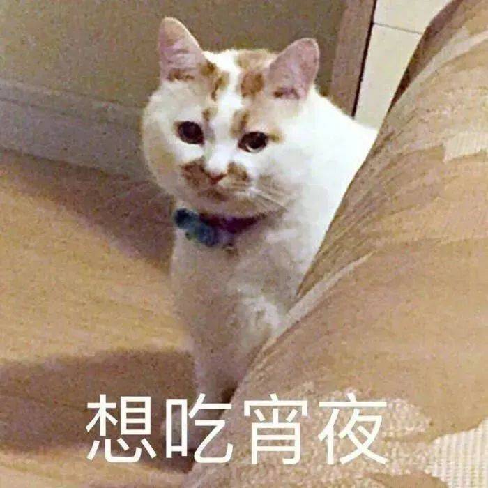 我们和好吧