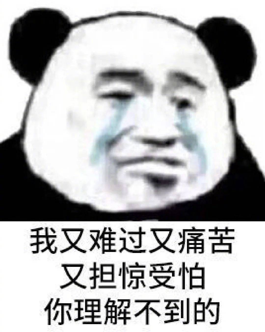 安排进厂深造