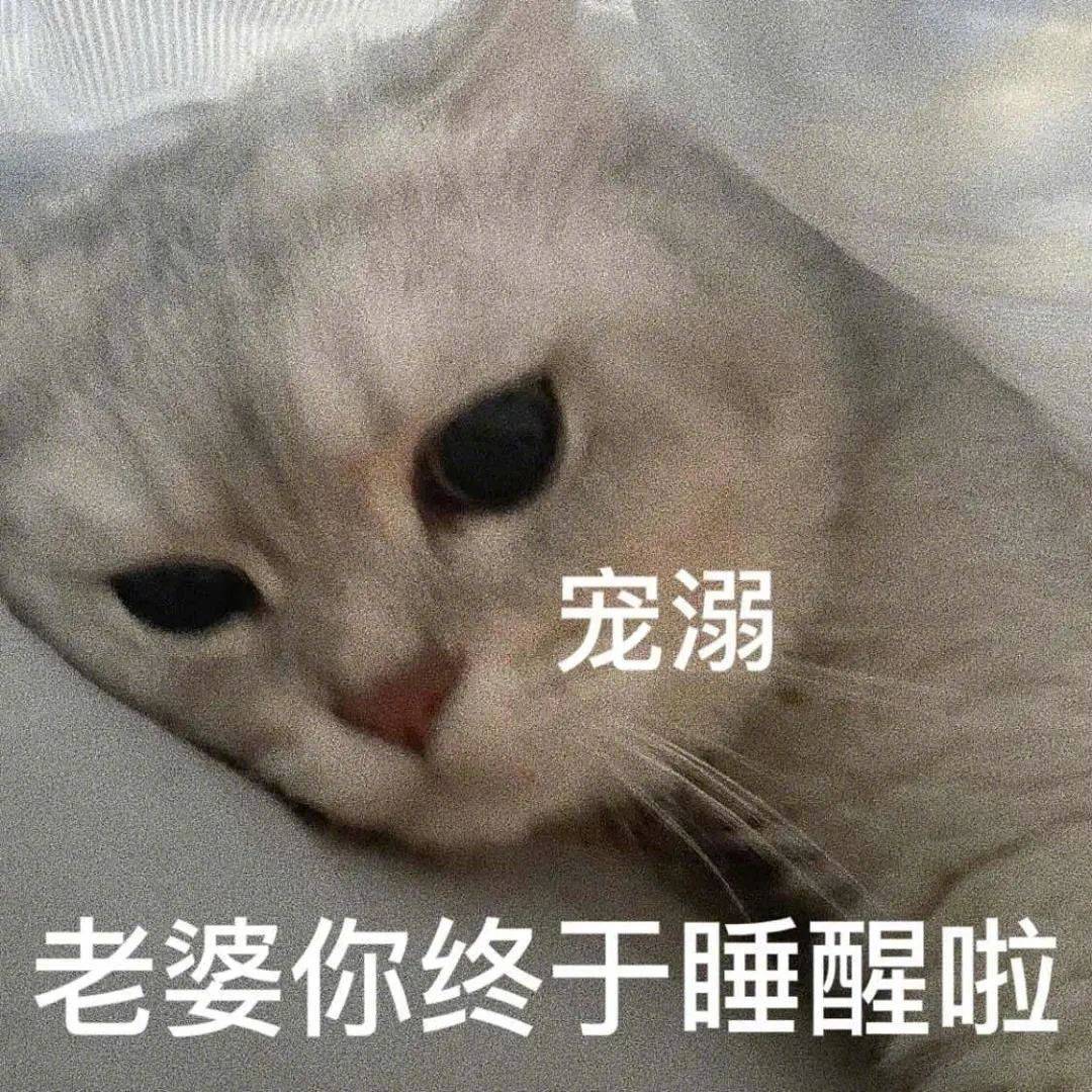 可不可以乖一点表情包