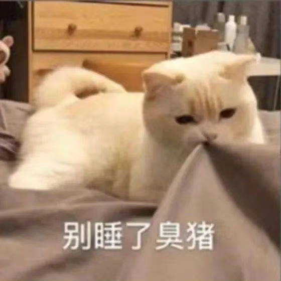 怎么了？我就是小废物