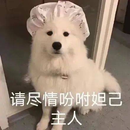 你最好坦白从宽