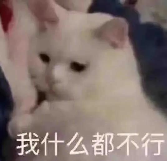 猪拱出来的字？表情包