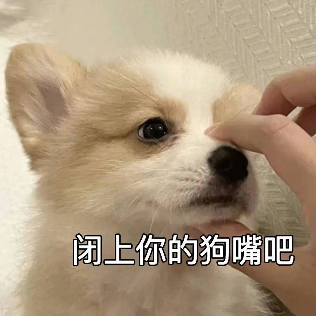 闭上你的狗嘴吧