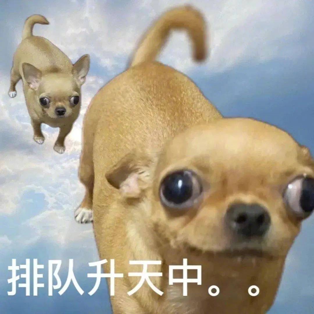 排队升天中。。表情包