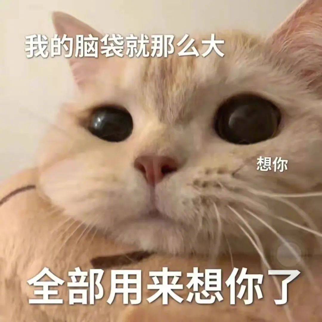 不卷了 开摆表情包